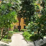 Domusolina
